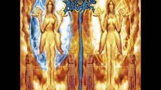 Drum Check - Morbid Angel