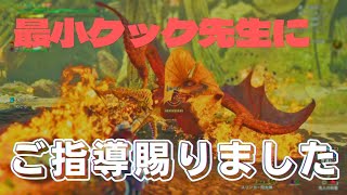 古参ハンター、クック先生に教育的指導を受けに行く【モンハンワイルズ】【NHWS】