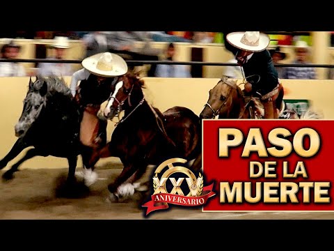 2022 THV Millionaire Championship - Chilling Steps of Death, September 1st