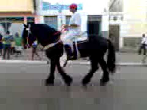 02de julho Sto.  Amaro - BA