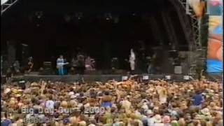 Jebediah - Animal (live)