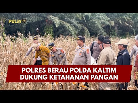 PRESISI UPDATE : POLRES BERAU POLDA KALTIM DUKUNG KETAHANAN PANGAN 10/01/2026 (16.00)