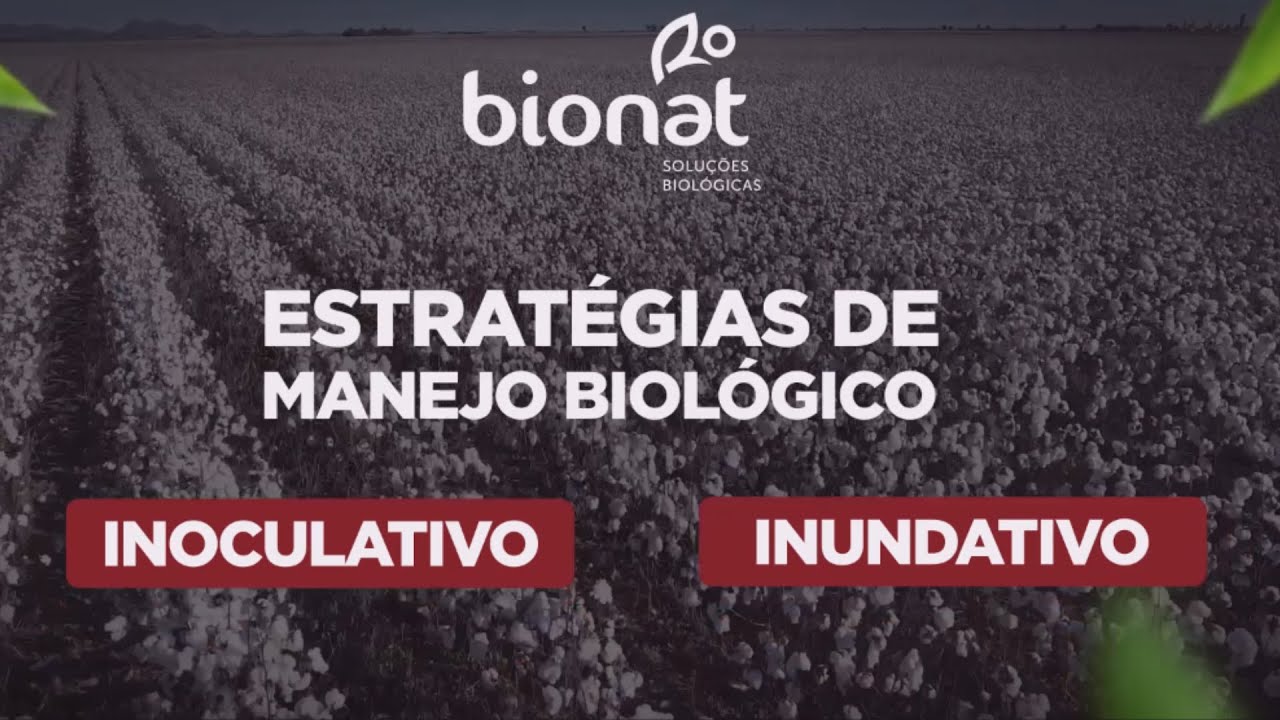 Especialistas Revelam as Estratégias de Manejo Biológico! 🌿🦠