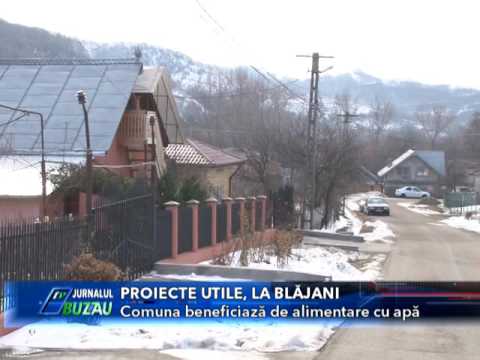 PRIECTE UTILE LA BLAJANI