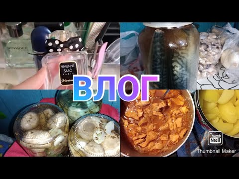 Уже готовлюсь к Новому году / Заготовки продолжаются / Anika Z влог