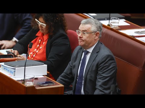 ‘Disgraceful’: Labor has ‘gone silent’ on $96 million BOM website redesign