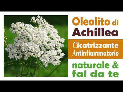 Oleolito di Achillea - Cicatrizzante ed Antinfiammatorio