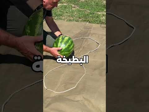 تحويل حبل الى سلة 🤫! #shorts