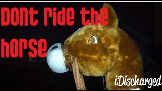 Don't Ride The Horse - Trailer