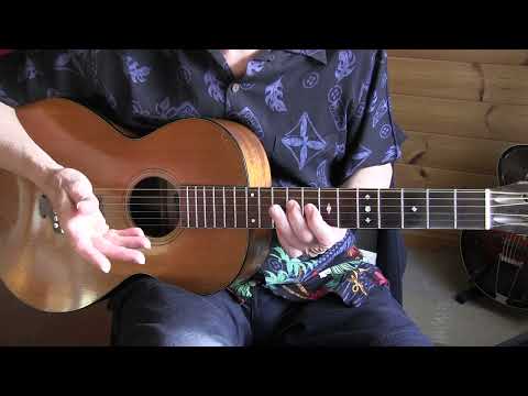 Canned Heat Blues - Free Acoustic Blues Lesson