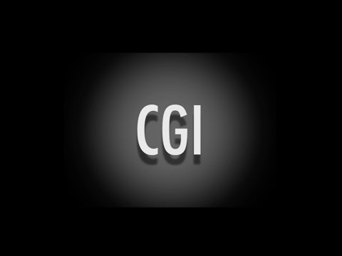 CGI: What is it?