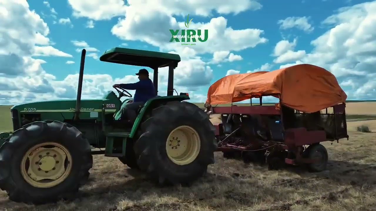 Vídeo de fundo - Xiru Mudas & Mudas