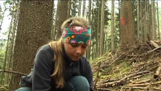 preview picture of video 'Pflanzen für die Zukunft: Schüler helfen beim Aufforsten des Bergwaldes'