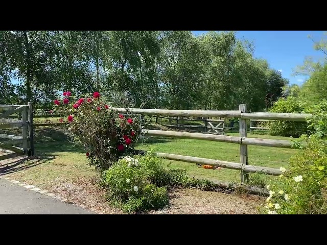 Écurie de Taranis: Ecurie de propriétaires avec BEES2 