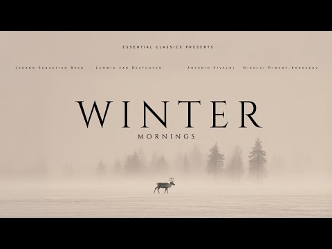 Winter Mornings - Relaxing Classical Music | Vivaldi, Mozart, Bach...
