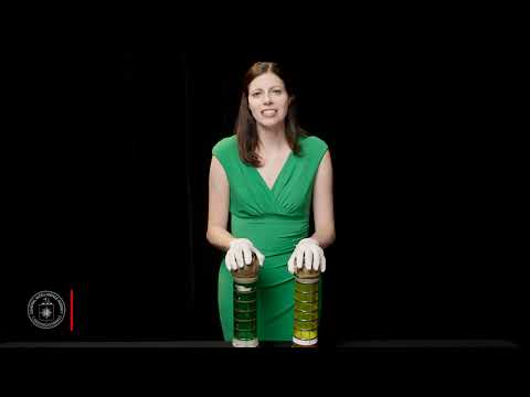 The Debrief: Behind the Artifact – Pneumatic Tubes