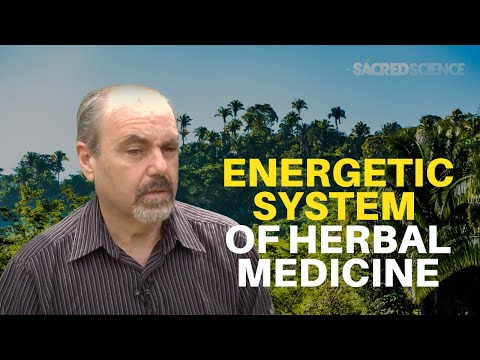 Energetic System of Herbal Medicine | David Winston | The Sacred Science