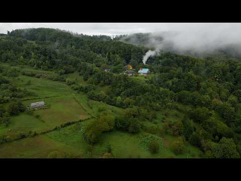 Total Isolation: A Married Couple Living Among Mountains and Animals