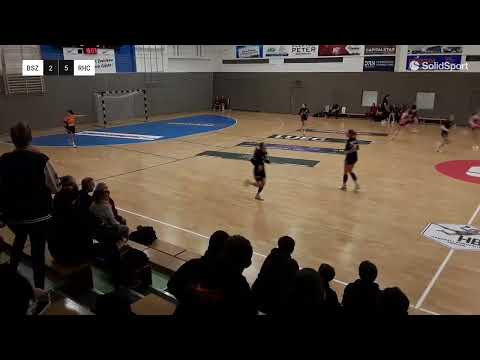 14. Spieltag in der Regionalliga NordOst wB - BSV Sachsen Zwickau gg. Rostocker HC