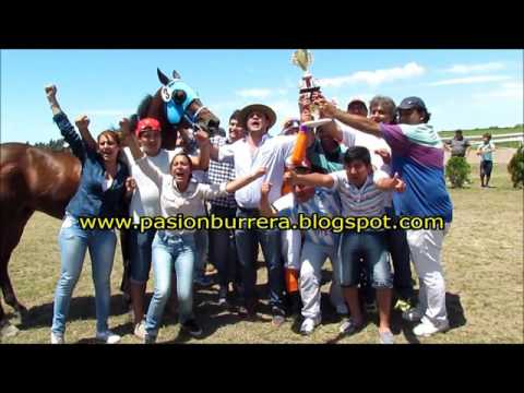 Galleguito, Las Garzas (08-11-15)