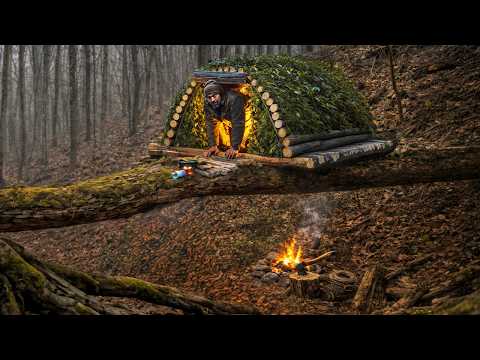 Extreme Bushcraft: Survival Shelter on a Giant Log (Full Build)