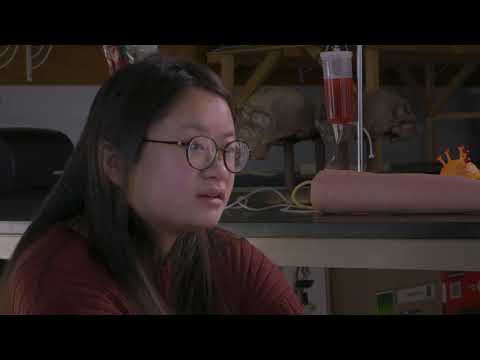 LakeView BioMed Pathway