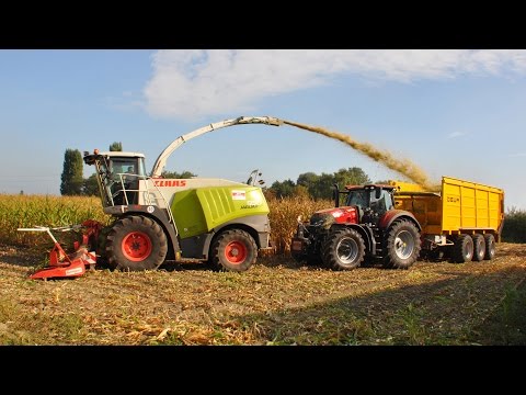 Claas Jaguar 950 + Case IH Optum 300 & DEWA 50m³ - Wilvagro bvba - mais 2016