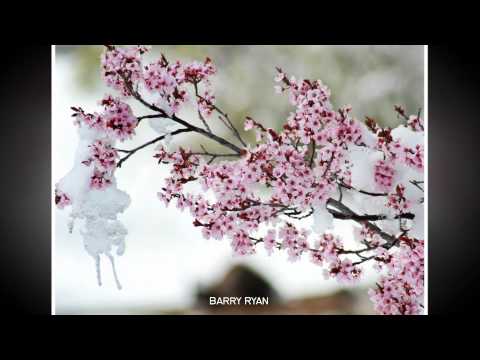 Images of Spring 2012