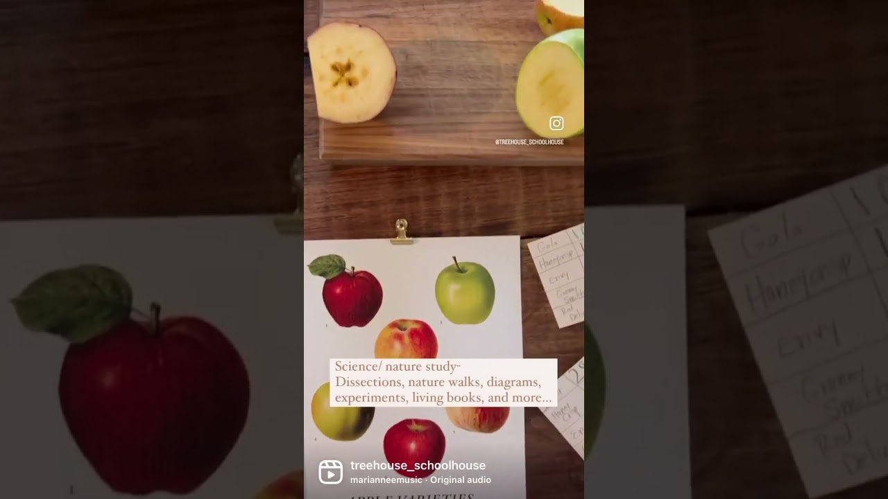 What is Treehouse Nature Study?