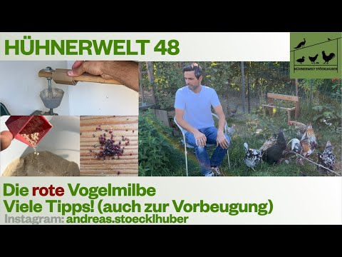 Hühnerwelt 48 Die rote Vogelmilbe - Viele Tipps und meine Erfahrungen