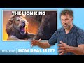 Lion Expert Rates 9 Big Cat Attacks In Movies How Real Is It Insider