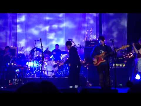 British Sea Power - Great Skua