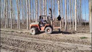 Venta de Ausa CH320 carretilla elevadora todoterreno - Imagen 4 | Machineryline ES Ausa CH320 carretilla elevadora todoterreno | Imagen 4 - Machineryline
