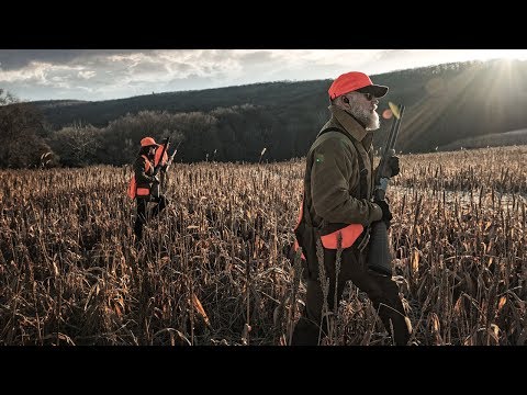 https://www.youtube.com/embed/T2d6D84yKpk