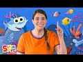 Baby Shark Songs From Caitie S Classroom