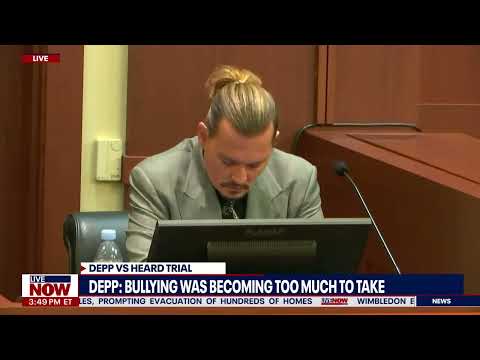 Johnny Depp: Amber Heard would bring his children into arguments 'too often' | LiveNOW from FOX