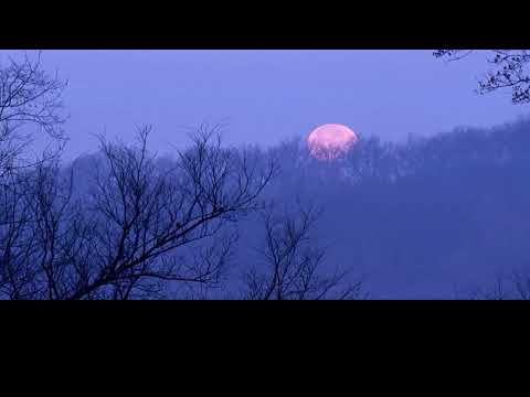 Opwekking 722   Dat is genade