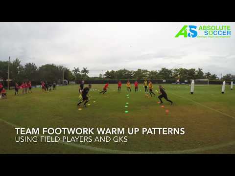 International Goalkeeper Coaches Conference 2017 - Eric Steele - Shot Stopping and Handling