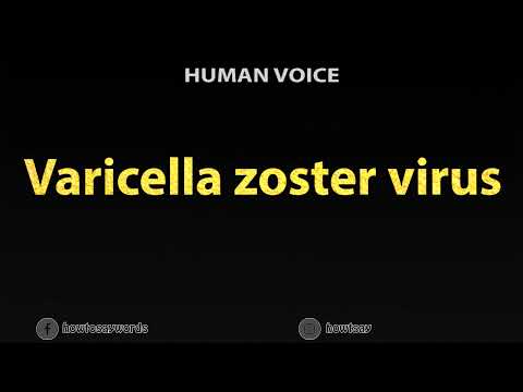 How To Pronounce Varicella zoster virus