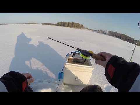 Kuhan pilkkitekniikkaa