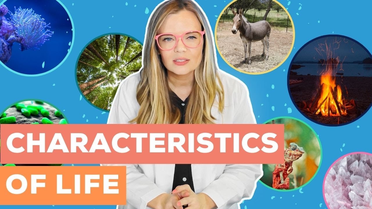 Characteristics of Life | How do you know if something is alive?