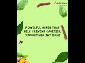 Stronger Teeth Fresher Breath Every Day Care That S The Support Asclepius Dentodoc Cream