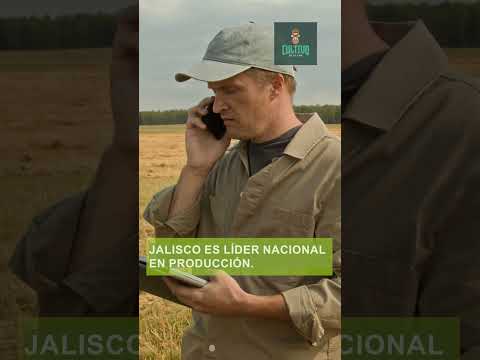 La Chía llegó para quedarse