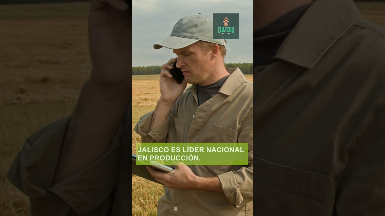 La Chía llegó para quedarse