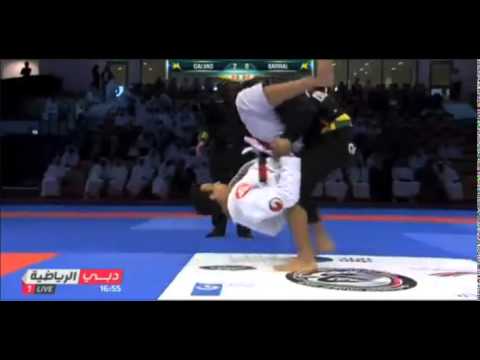 Andre Galvao vs Romulo Barral - World Pro 2014