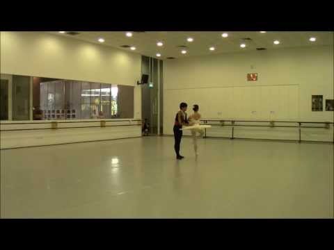 SDT 2014 Preview - Don Quixote and Val Caniparoli's Lambarena