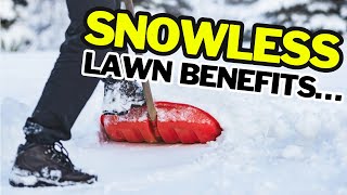 THE Snow Trick That Saves Your Garden