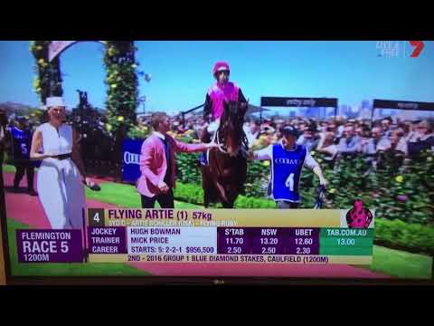 2016 Coolmore Stakes - Flying Artie parade