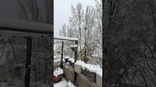 Nederland 😍❄️☃️