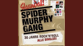 Musik-Video-Miniaturansicht zu Ich grüße alle und den Rest der Welt Songtext von Spider Murphy Gang
